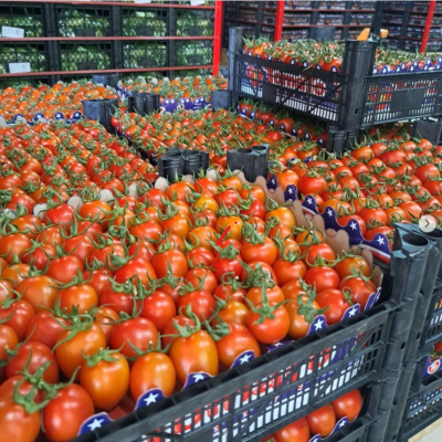 Screenshot 2025-10-06 134808