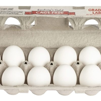 Ziba-Photo-Video-Gabrielle-Ulnick-04-1-edited-1-2048x1152