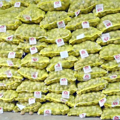 ms-international-25kg-bags-1200_0