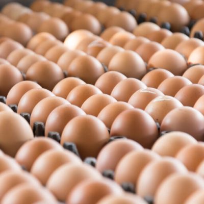organic-brown-eggs-banner-768x512