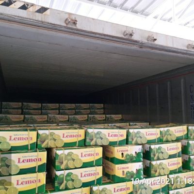 prod-20210421-2349174764173222740285772-jpg-1000x1000